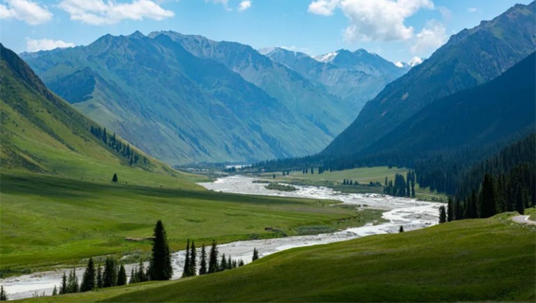 公司治理獲高度認(rèn)可！奇正藏藥入選中上協(xié)“最佳實(shí)踐案例”